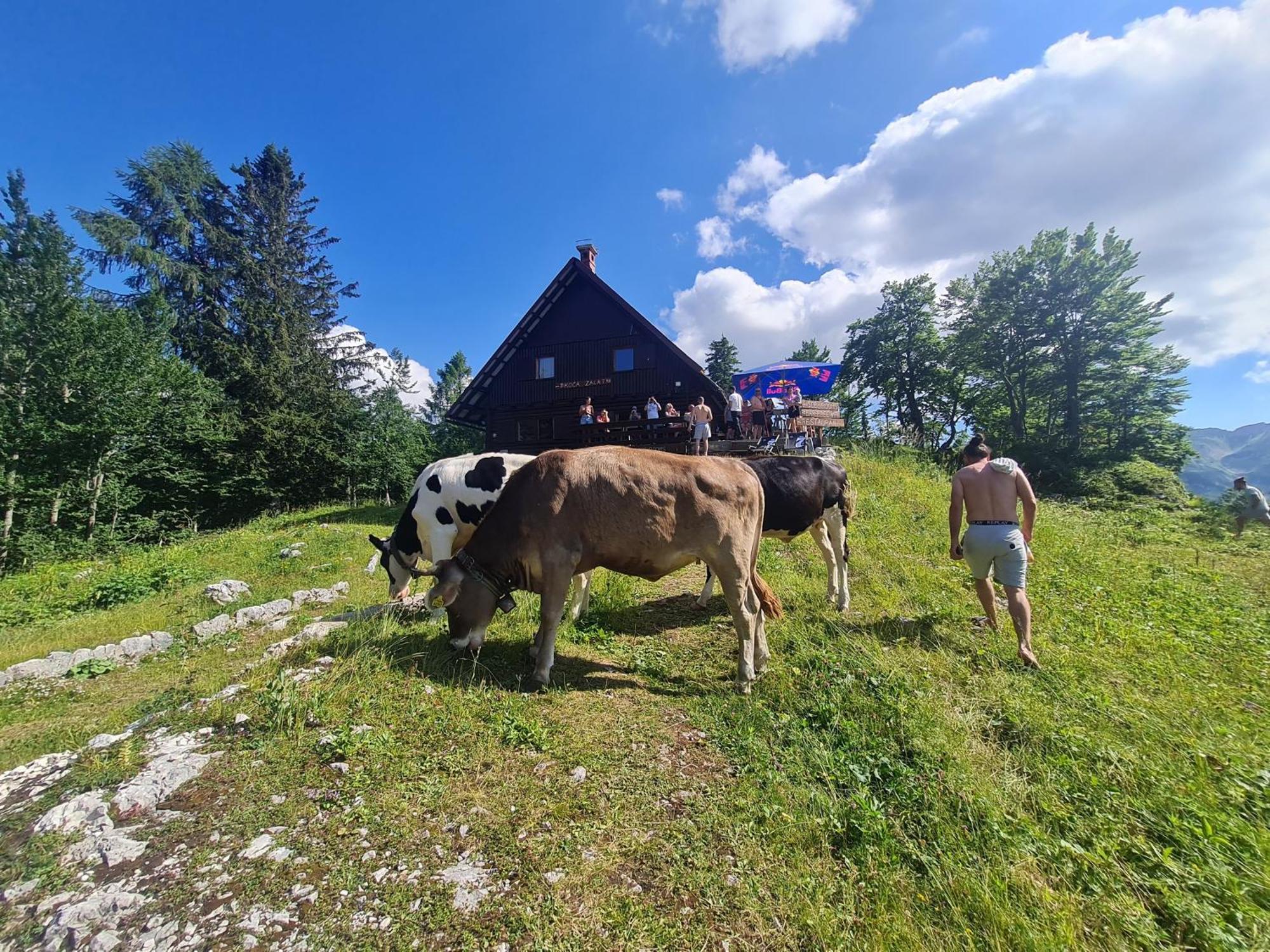 Chalet Burja At Vogel Mountain - Cable Car Access Or Hiking - Not Reachable With Car Bohinj Eksteriør bilde